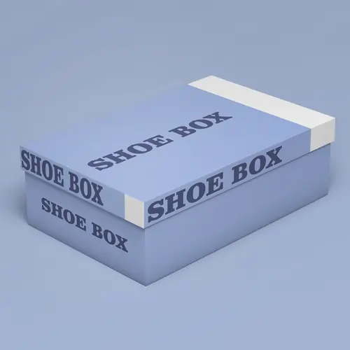 Cardboard Shoe Boxes